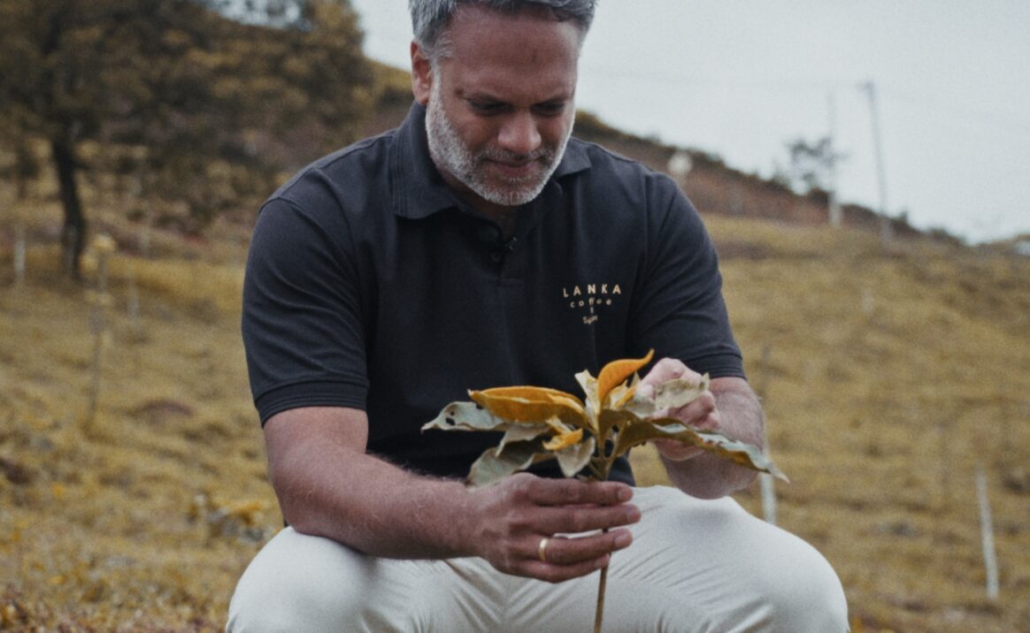 Bekijk deze afbeelding op Lanka Coffee